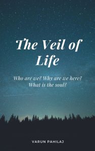 The Veil Of Life: Who Are We? Why Are We Here? What Is The Soul 