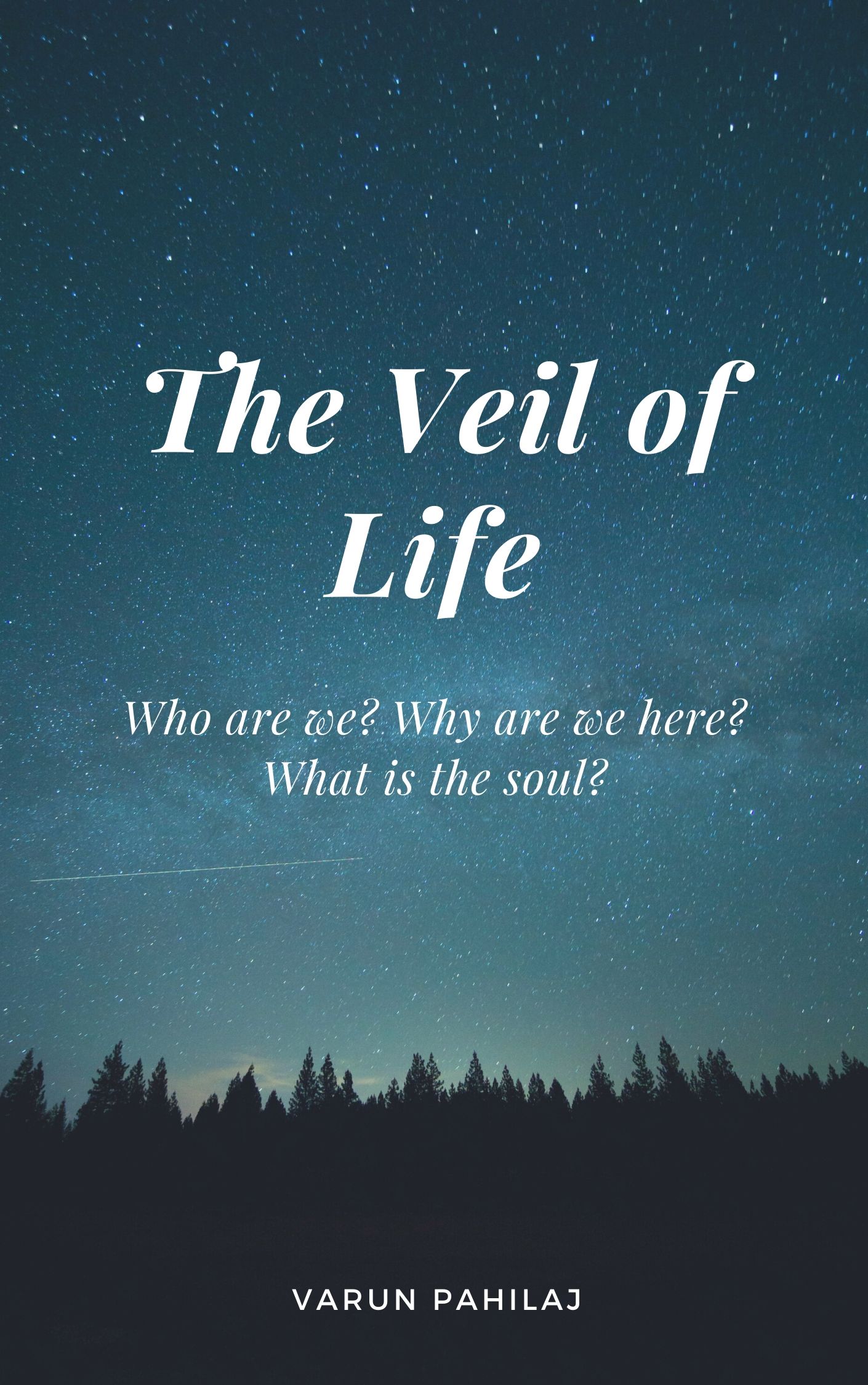 The Veil of Life: Who are we? Why are we here? What is the soul ...